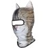 AXBXCX 3D Animal Ears Balaclava Winter Warmer Face Mask for Skiing Snowboarding Snowmobile Halloween Christmas